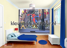  spiderman fouwtouwbehaang _intrieur
